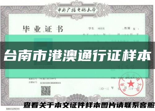 台南市港澳通行证样本缩略图