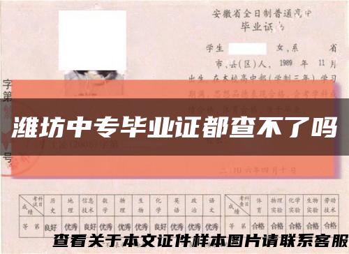 潍坊中专毕业证都查不了吗缩略图