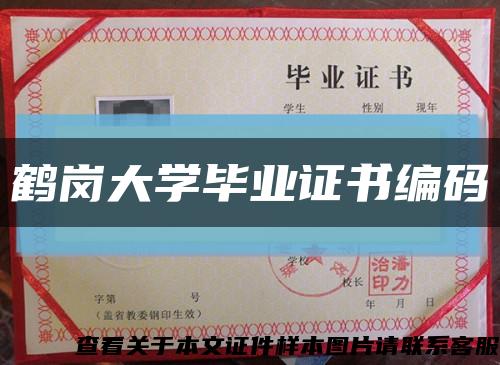 鹤岗大学毕业证书编码缩略图