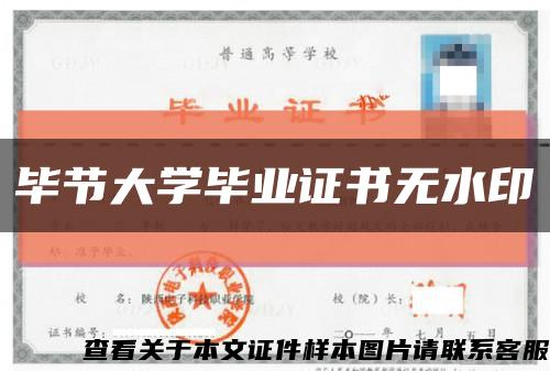 毕节大学毕业证书无水印缩略图