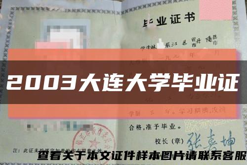 2003大连大学毕业证缩略图