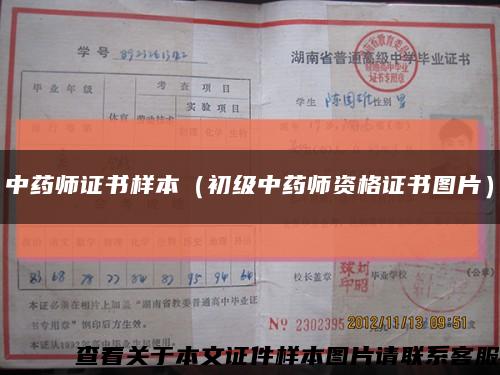 中药师证书样本（初级中药师资格证书图片）缩略图