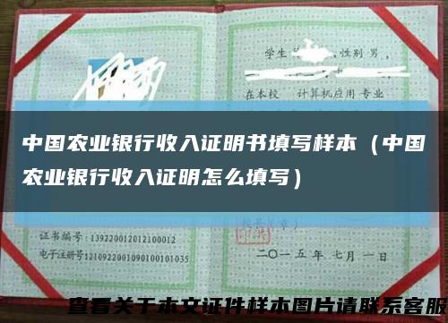 中国农业银行收入证明书填写样本（中国农业银行收入证明怎么填写）缩略图