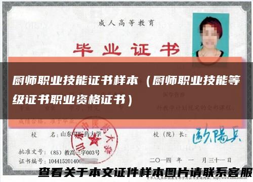 厨师职业技能证书样本（厨师职业技能等级证书职业资格证书）缩略图