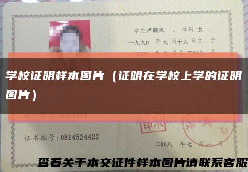 学校证明样本图片（证明在学校上学的证明图片）缩略图