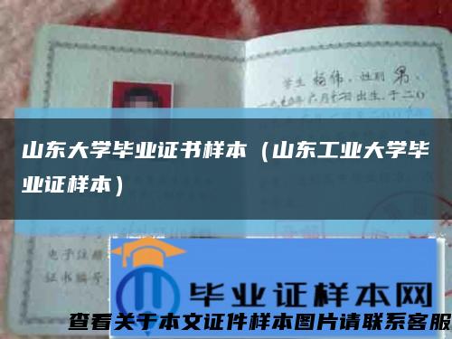 山东大学毕业证书样本（山东工业大学毕业证样本）缩略图