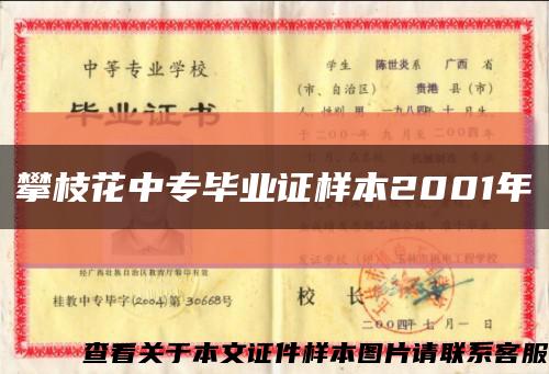 攀枝花中专毕业证样本2001年缩略图
