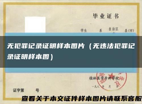 无犯罪记录证明样本图片（无违法犯罪记录证明样本图）缩略图