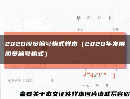 2020团员编号格式样本（2020年发展团员编号格式）缩略图