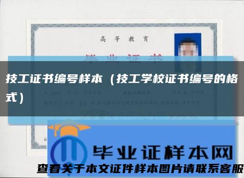 技工证书编号样本（技工学校证书编号的格式）缩略图
