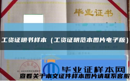工资证明书样本（工资证明范本图片电子版）缩略图