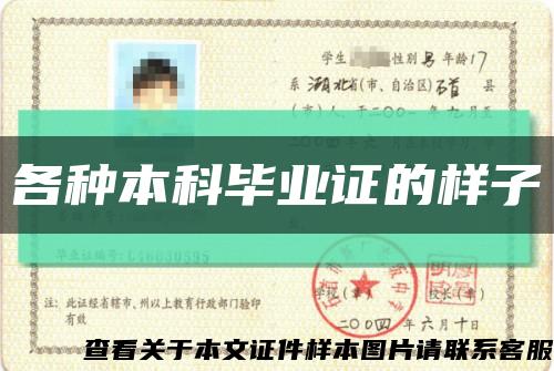 各种本科毕业证的样子缩略图