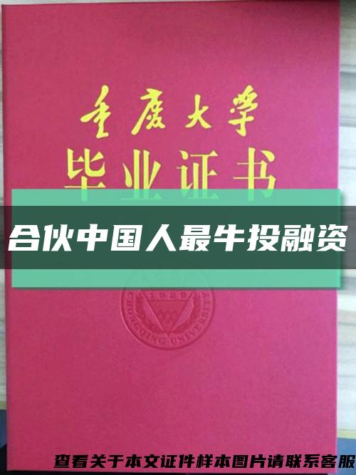 合伙中国人最牛投融资缩略图