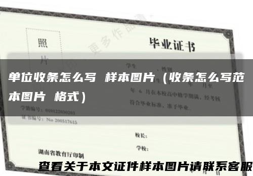单位收条怎么写 样本图片（收条怎么写范本图片 格式）缩略图