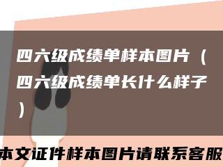 四六级成绩单样本图片（四六级成绩单长什么样子）缩略图