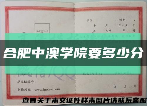 合肥中澳学院要多少分缩略图