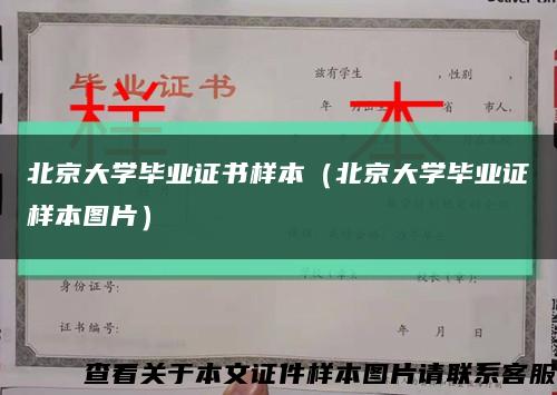 北京大学毕业证书样本（北京大学毕业证样本图片）缩略图