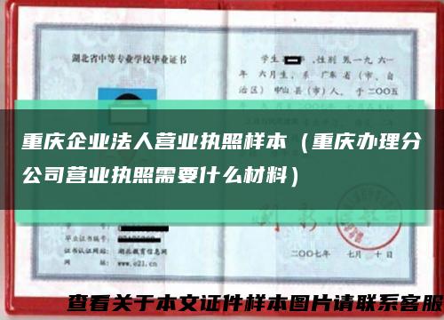 重庆企业法人营业执照样本（重庆办理分公司营业执照需要什么材料）缩略图