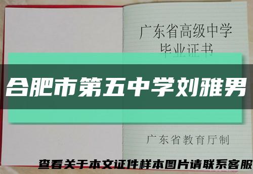 合肥市第五中学刘雅男缩略图