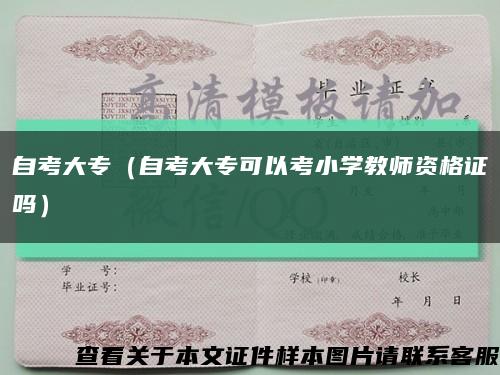 自考大专（自考大专可以考小学教师资格证吗）缩略图