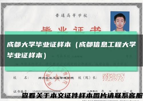 成都大学毕业证样本（成都信息工程大学毕业证样本）缩略图