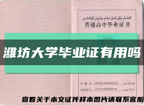 潍坊大学毕业证有用吗缩略图