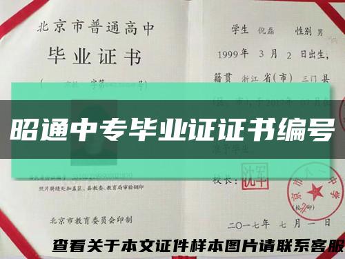 昭通中专毕业证证书编号缩略图