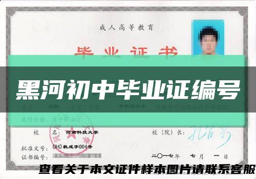 黑河初中毕业证编号缩略图