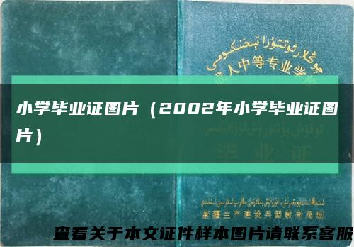 小学毕业证图片（2002年小学毕业证图片）缩略图