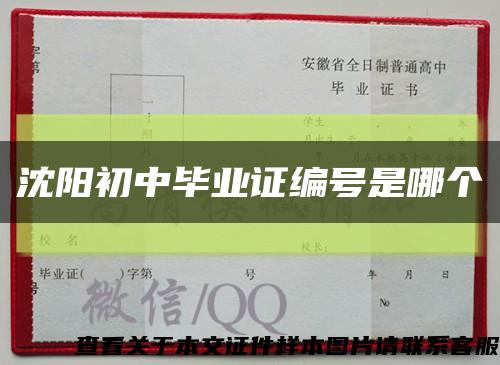 沈阳初中毕业证编号是哪个缩略图
