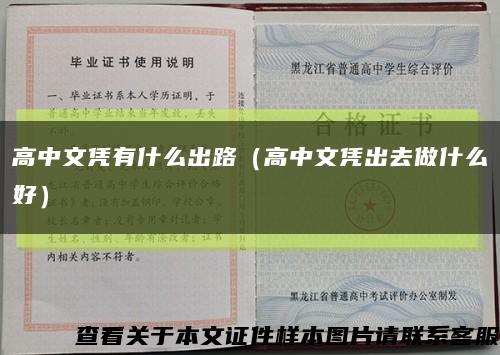 高中文凭有什么出路（高中文凭出去做什么好）缩略图