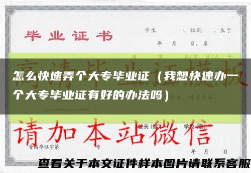 怎么快速弄个大专毕业证（我想快速办一个大专毕业证有好的办法吗）缩略图