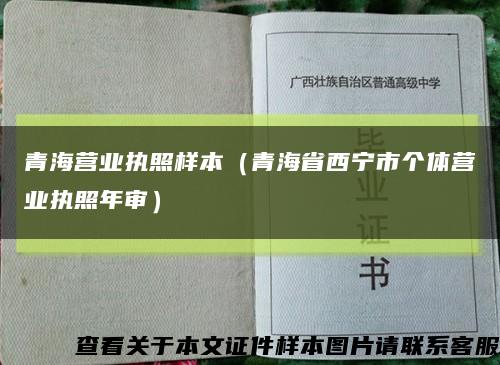 青海营业执照样本（青海省西宁市个体营业执照年审）缩略图