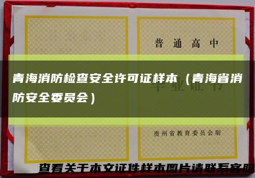 青海消防检查安全许可证样本（青海省消防安全委员会）缩略图