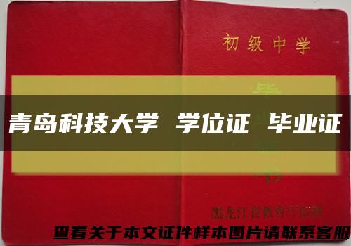 青岛科技大学 学位证 毕业证缩略图