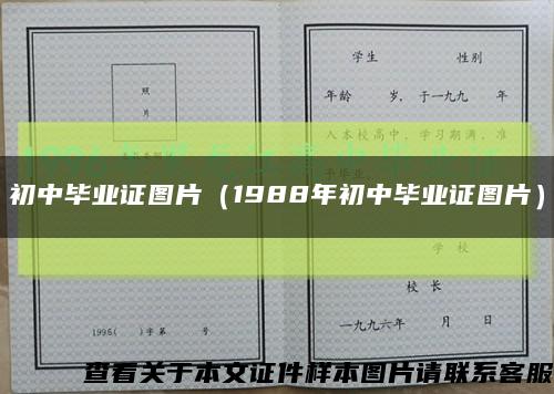 初中毕业证图片（1988年初中毕业证图片）缩略图