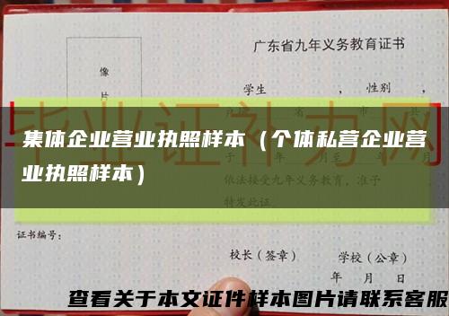 集体企业营业执照样本（个体私营企业营业执照样本）缩略图