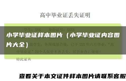 小学毕业证样本图片（小学毕业证内容图片大全）缩略图