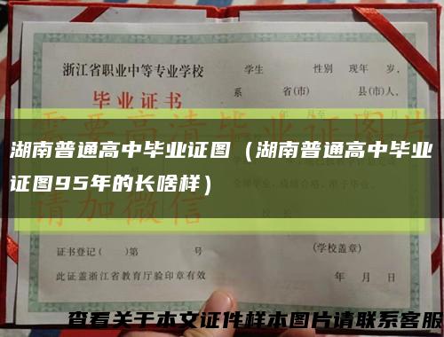 湖南普通高中毕业证图（湖南普通高中毕业证图95年的长啥样）缩略图