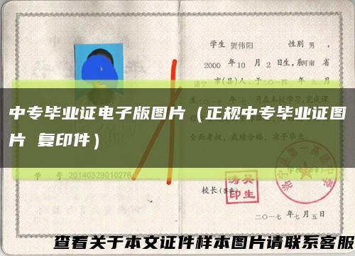 中专毕业证电子版图片（正规中专毕业证图片 复印件）缩略图