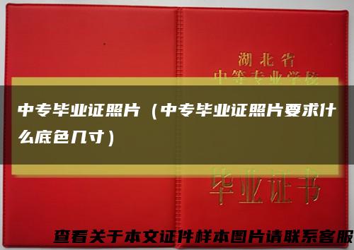 中专毕业证照片（中专毕业证照片要求什么底色几寸）缩略图