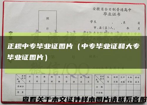 正规中专毕业证图片（中专毕业证和大专毕业证图片）缩略图