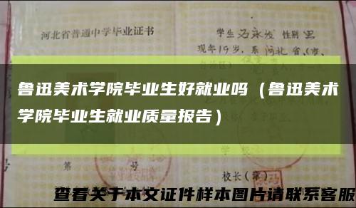 鲁迅美术学院毕业生好就业吗（鲁迅美术学院毕业生就业质量报告）缩略图