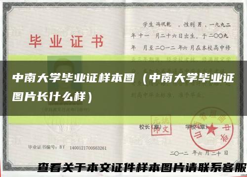 中南大学毕业证样本图（中南大学毕业证图片长什么样）缩略图