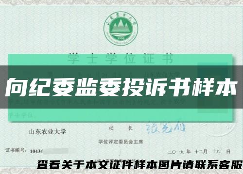 向纪委监委投诉书样本缩略图