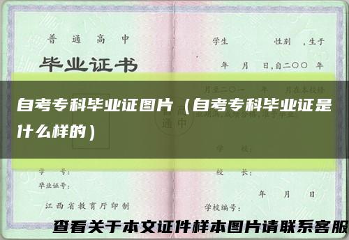 自考专科毕业证图片（自考专科毕业证是什么样的）缩略图