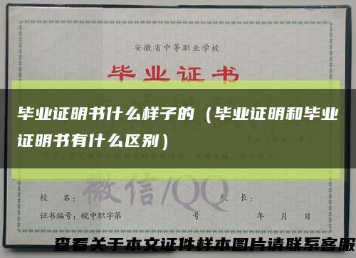 毕业证明书什么样子的（毕业证明和毕业证明书有什么区别）缩略图