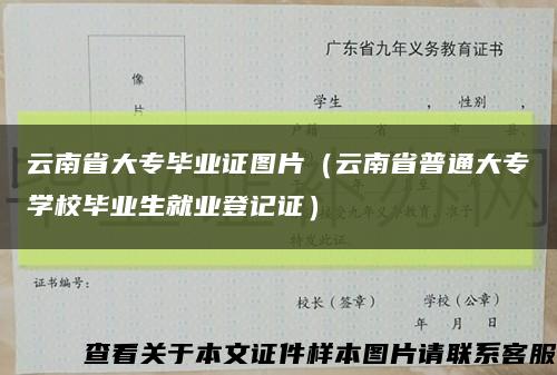 云南省大专毕业证图片（云南省普通大专学校毕业生就业登记证）缩略图