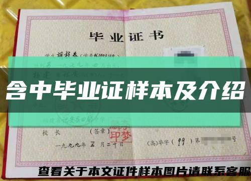 含中毕业证样本及介绍缩略图