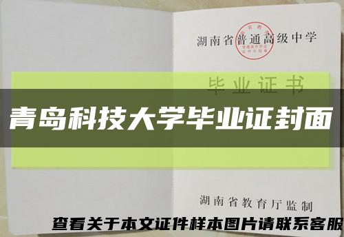 青岛科技大学毕业证封面缩略图